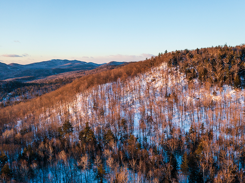 Moriah Wilderness Preserve