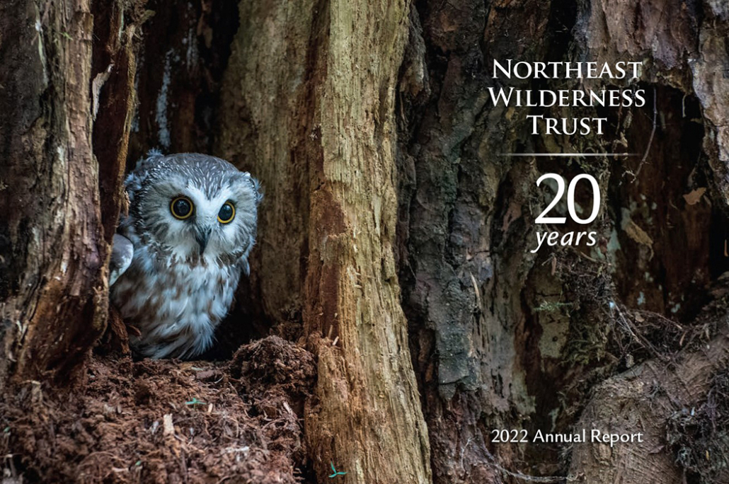 2022 Annual Report