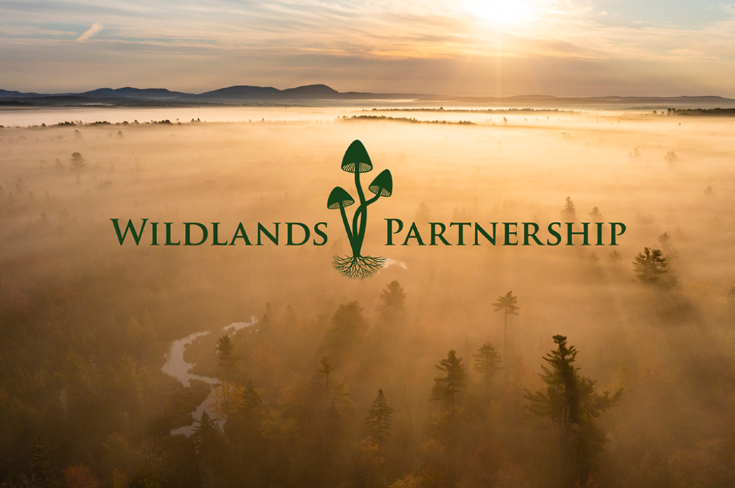 Celebrating and Continuing the Wildlands Partnership