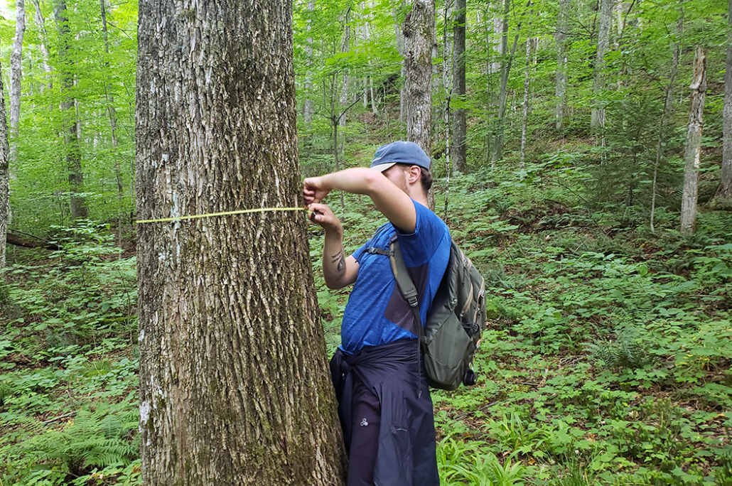 Newts from the Field: Ecology Program Blooms