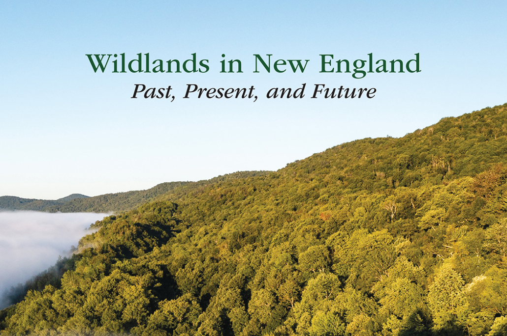 Wildlands in New England: Webinar