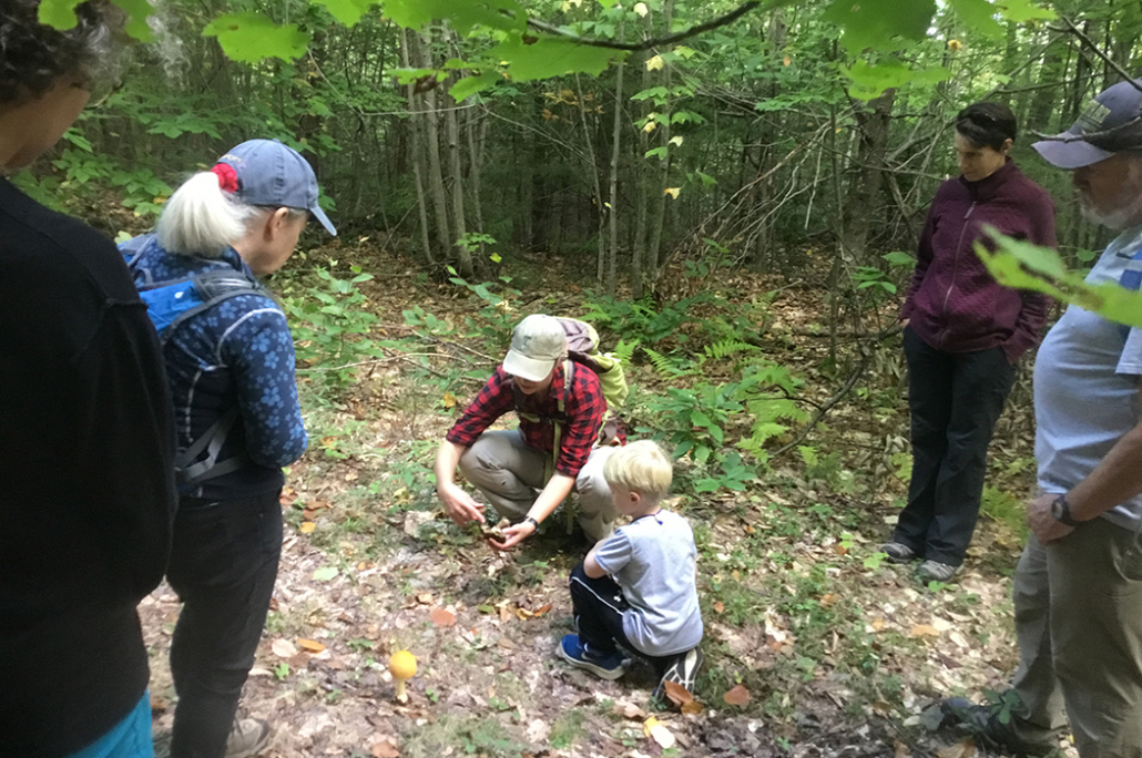Newts from the Field: Learning from Nature with the Ecology Program