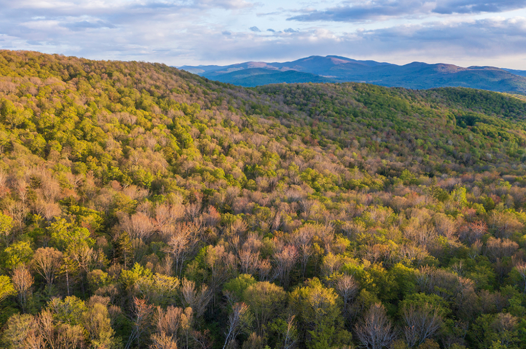 5th Anniversary Walk for Wilderness - October 11-15th, 2023