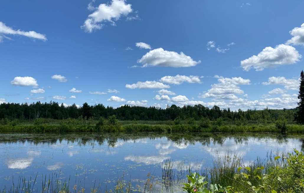 257 Acres of Wetlands, River Frontage, and Forests Protected in a Critical Wildlife Corridor