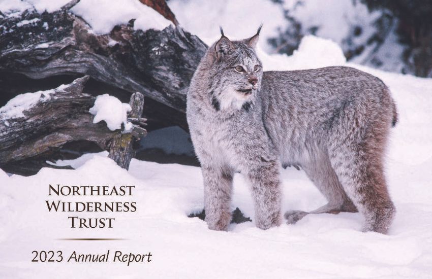 northeast wilderness trust annual report 2023 cover image