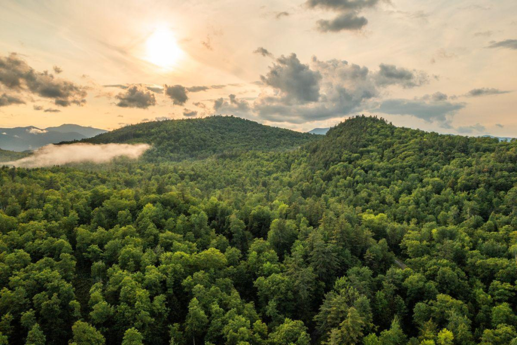 moriah wilderness preserve