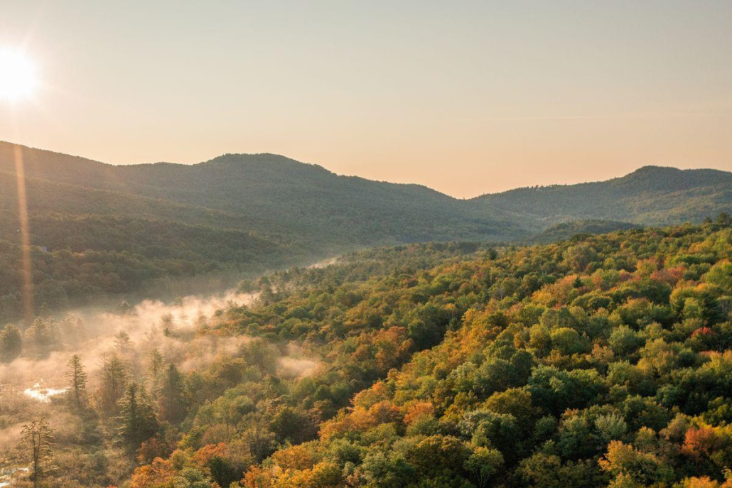 landscape of bears nest wilderness preserve