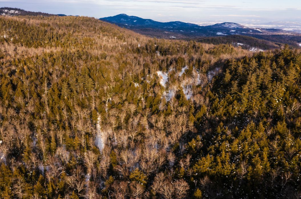Northeast Wilderness Trust Receives Conservationist of the Year Award