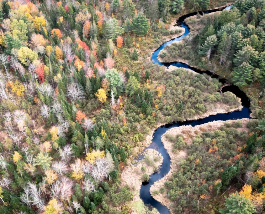 Northeast Wilderness Trust Names New Vice President of Conservation Programs