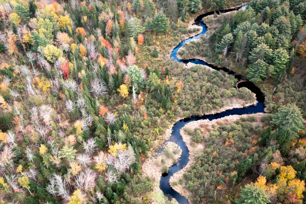 Vast Stretch of Central Maine Wetlands and Forests Gains Forever-Wild Protections