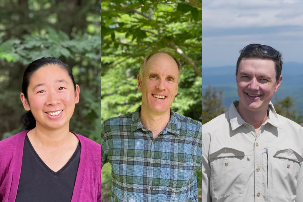 Northeast Wilderness Trust Announces Staff Updates