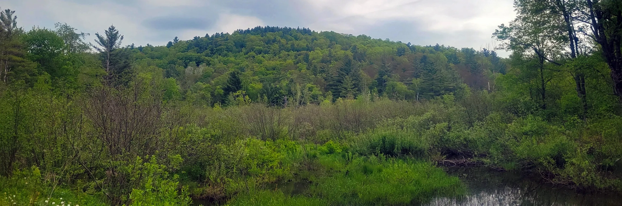 Header-SargentHill