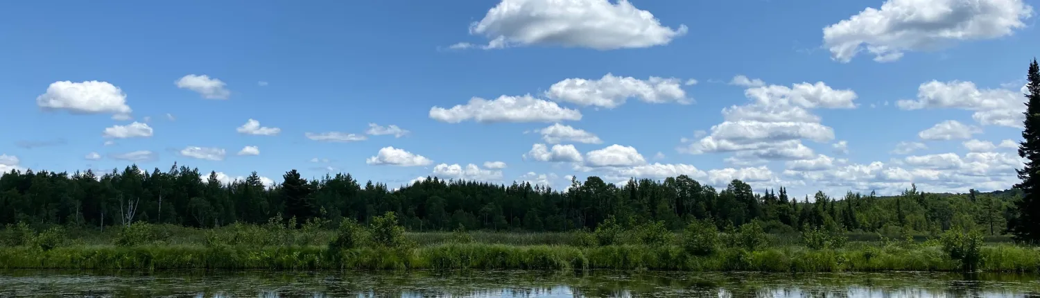 Little_River_Head