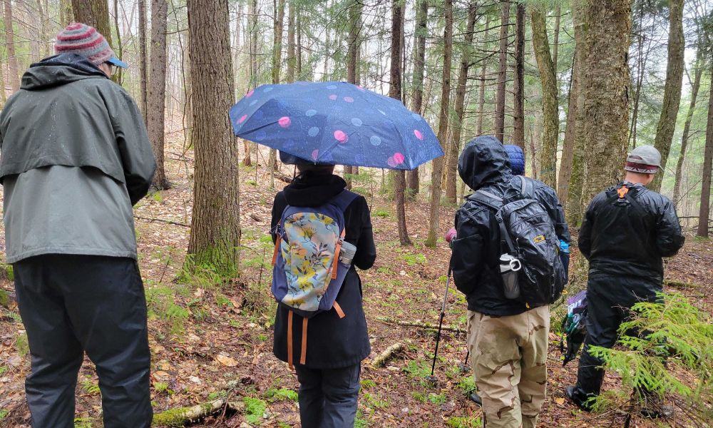 Ecology Bio Blitz - Shelby P