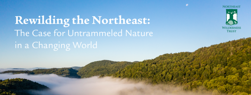 event banner with Rewilding the Northeast text overlaying a landscape image.