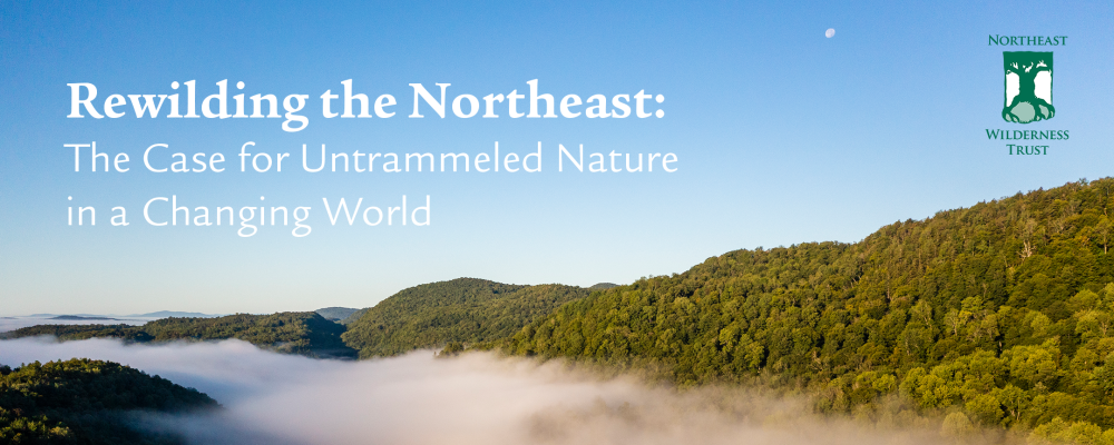 event banner with Rewilding the Northeast text overlaying a landscape image.