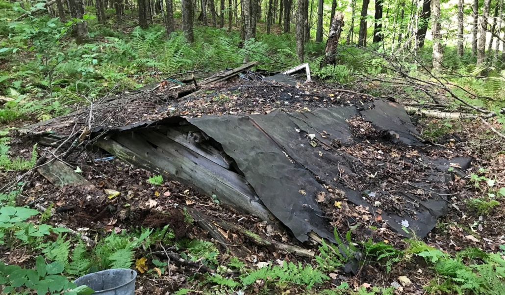 debris on the ground of a wilderness preserve