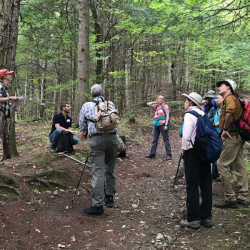 Teaching in the forest with a circle of students.