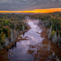 Bold Coast Wilderness Preserve
