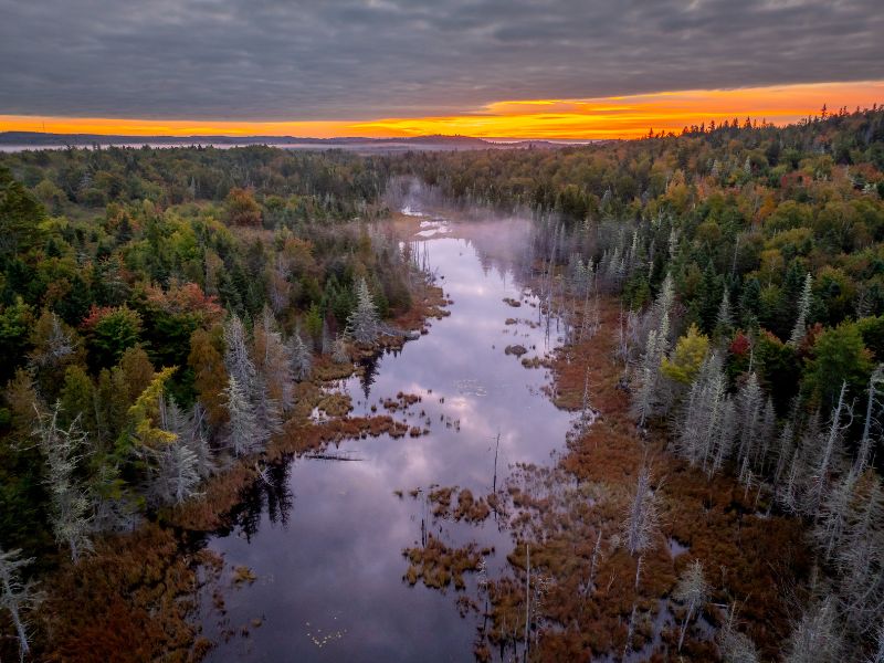 Bold Coast Wilderness Preserve