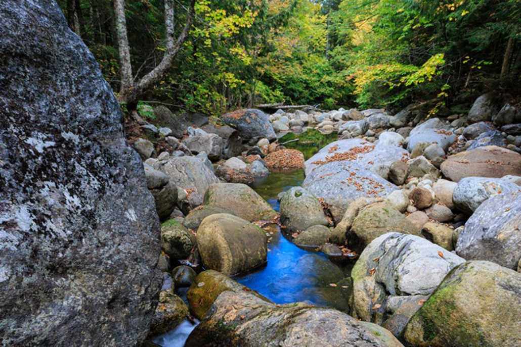 Mountain Brooks Wilderness Preserve