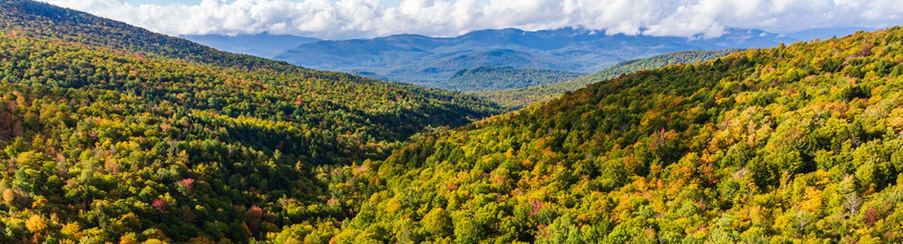 Mountain Brooks Header Image