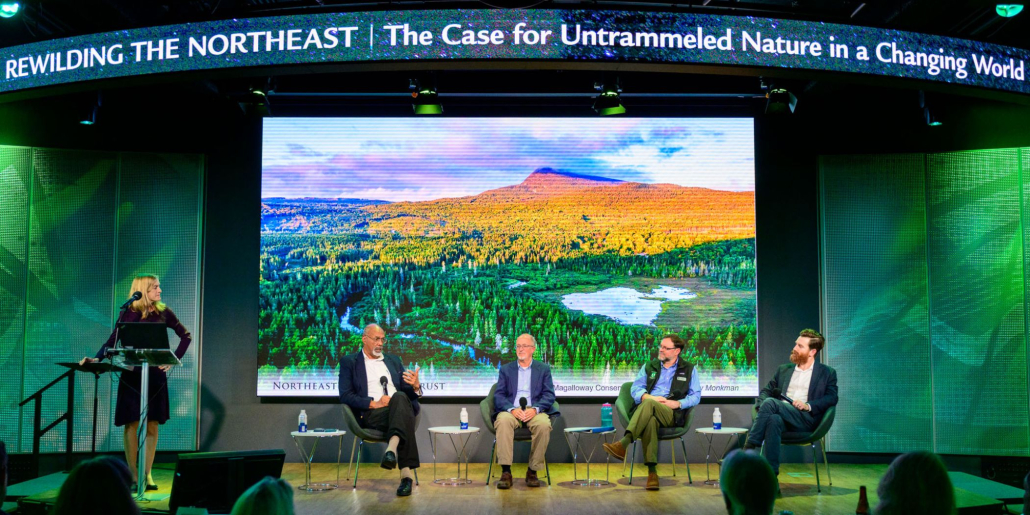 NEWT and Partners Convene in Boston to Make the Case for Rewilding