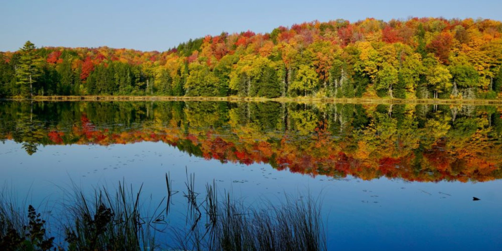 Landscape photo of Woodbury