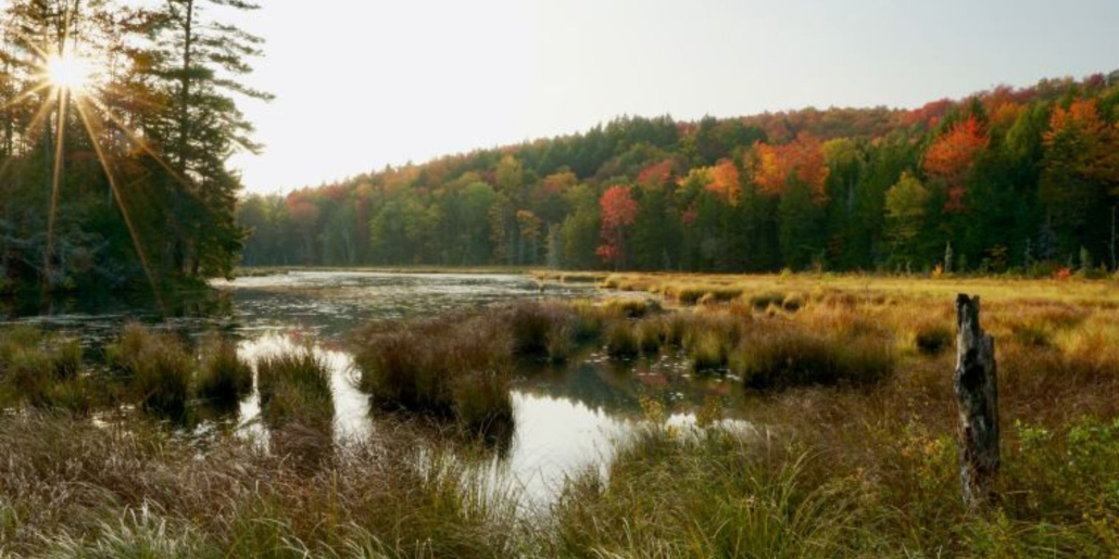 New conservation easement helps protect 6,250 acres of 'forever-wild' lands