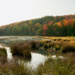 Landscape image of Woodbury