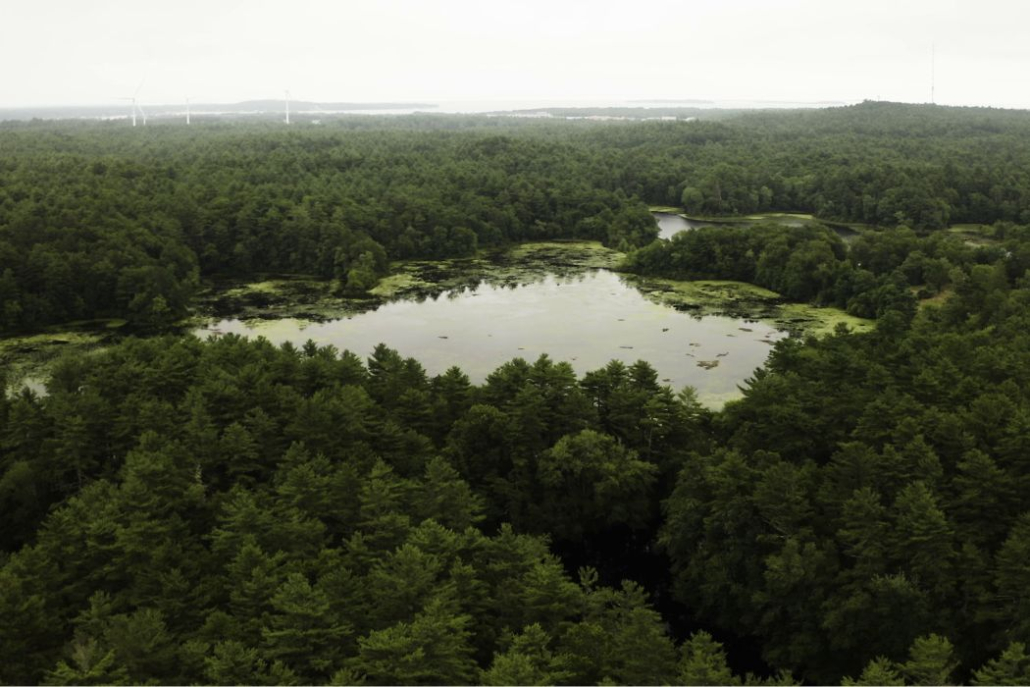 NEWT and Native Land Conservancy Partner to Protect Wampanoag Lands