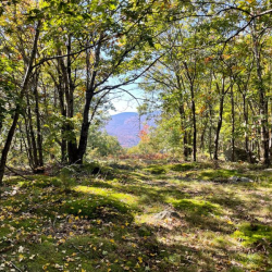 College Hill Wilderness Sanctuary