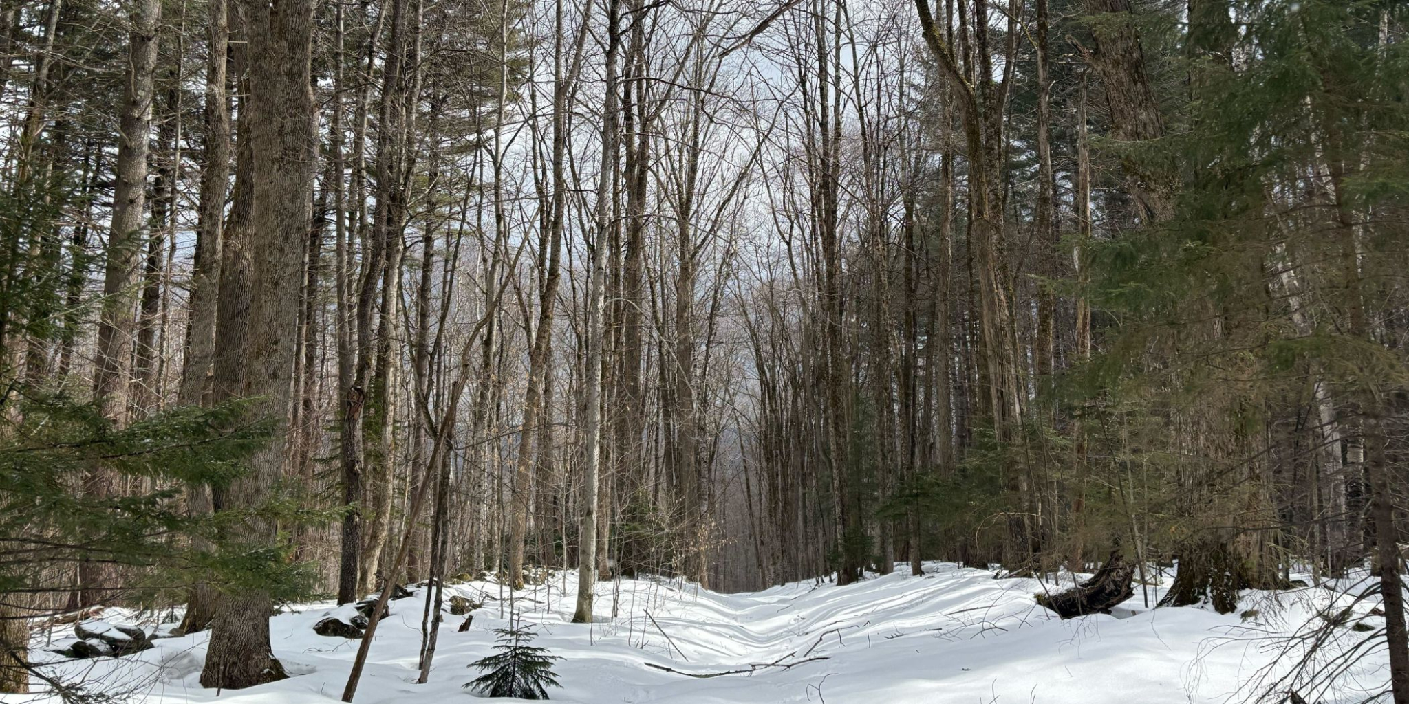Eric College Hill Winter