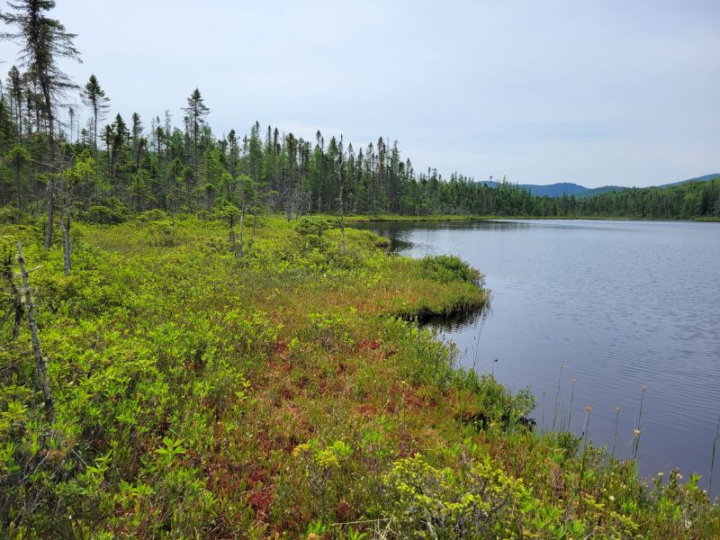 Hawk’s Nest Wilderness Preserve