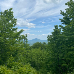 Journey’s End Wilderness Preserve