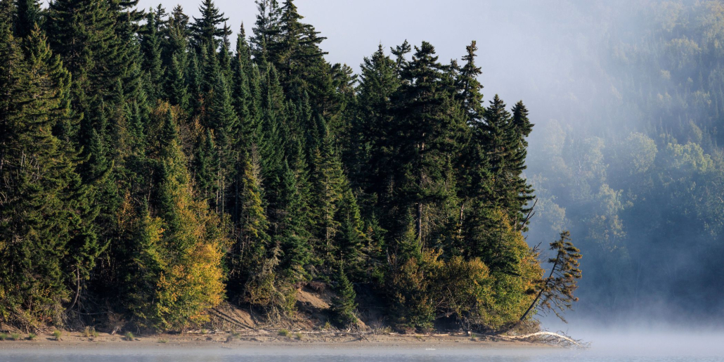 Island on the magalloway river