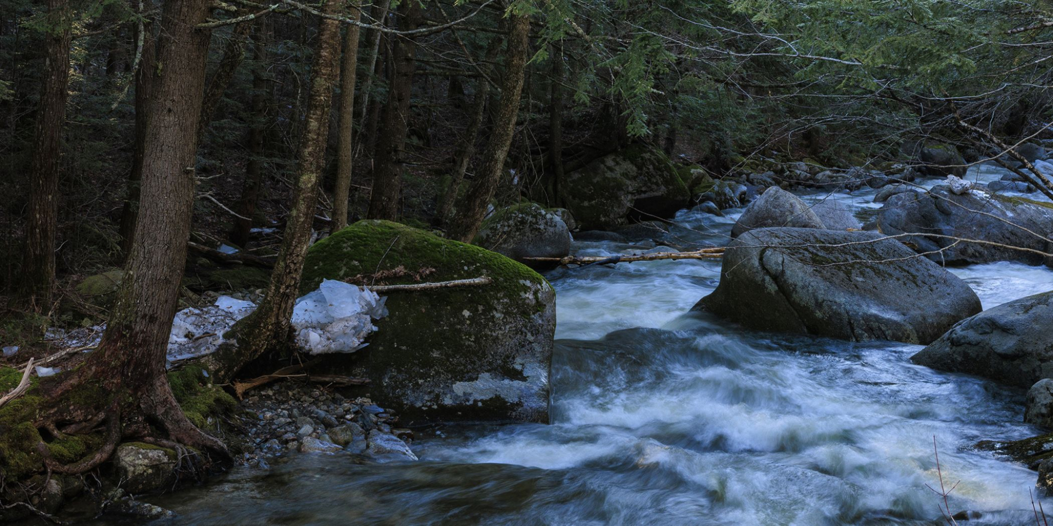 Brook at Spruce Ridge