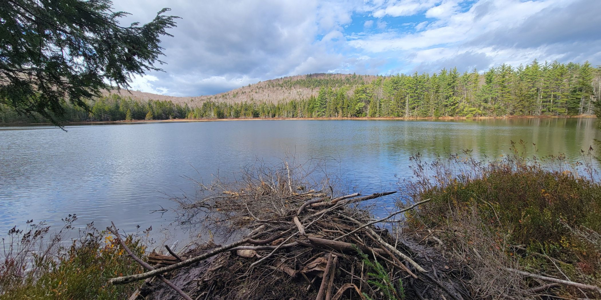 Spruce Ridge Landscape Banner Image