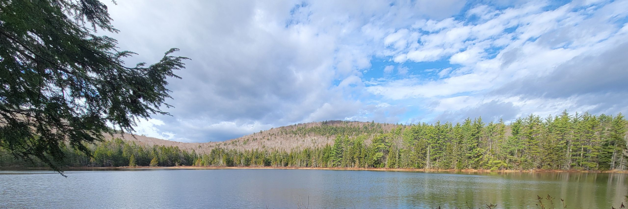 Spruce Ridge Landscape Photo (1)