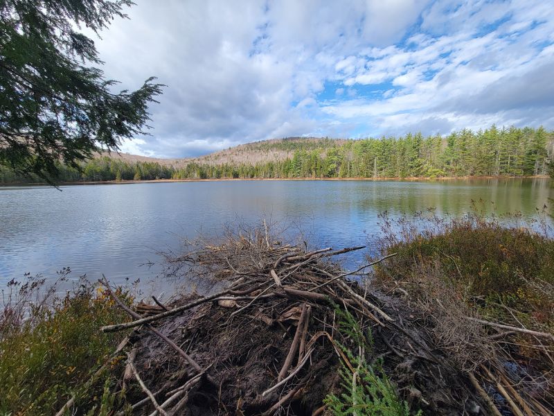 Spruce Ridge Wilderness Preserve