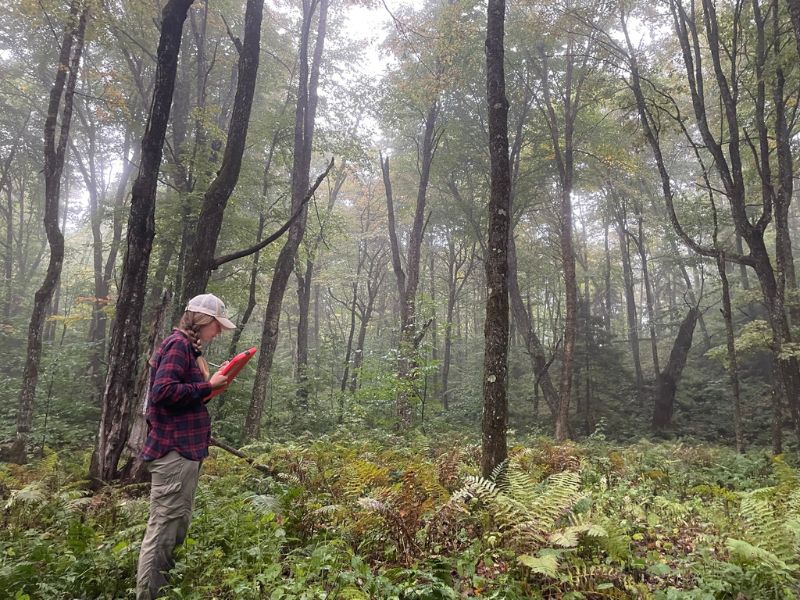 Shelby taking notes in a forest