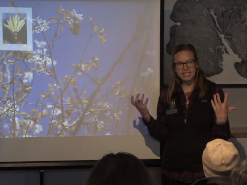 Shelby presenting about trees