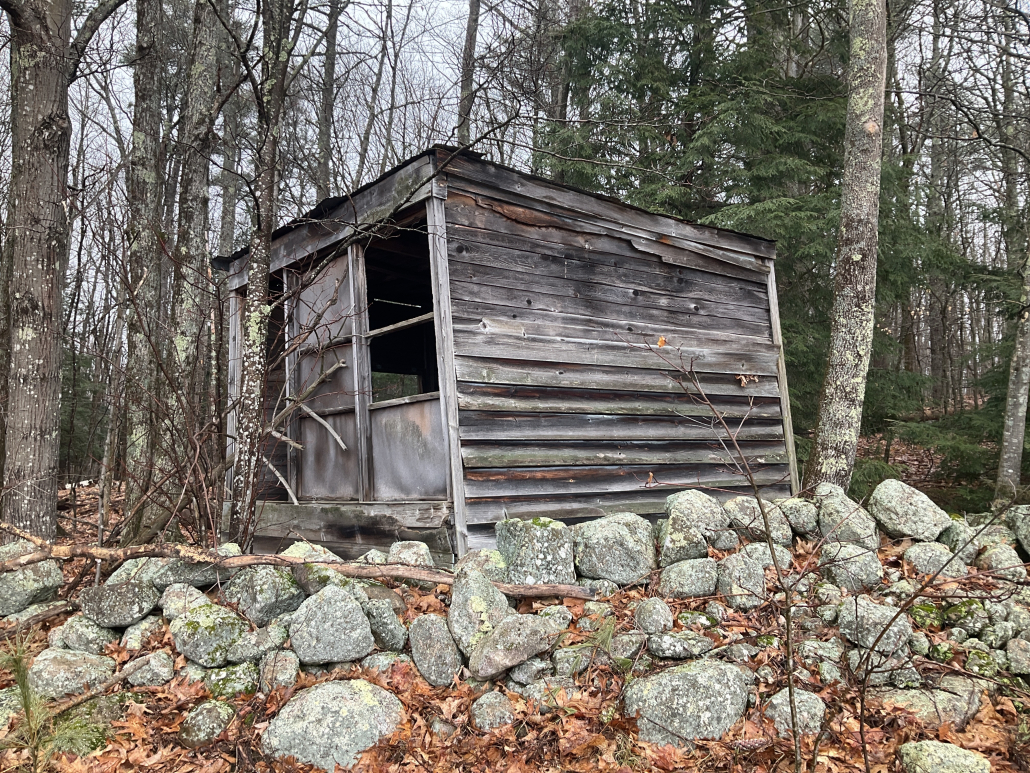 Great Oaks Shed