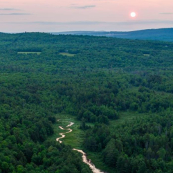 Landscape of view of the protected lands