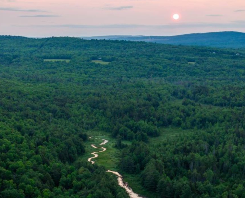 Wildlands Partnership Helps Protect Critical Maine Headwaters as Forever-Wild