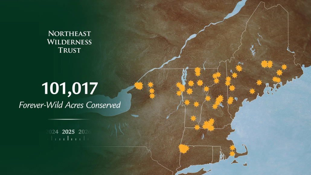 Northeast Wilderness Trust Surpasses 100,000 Forever-Wild Acres Conserved