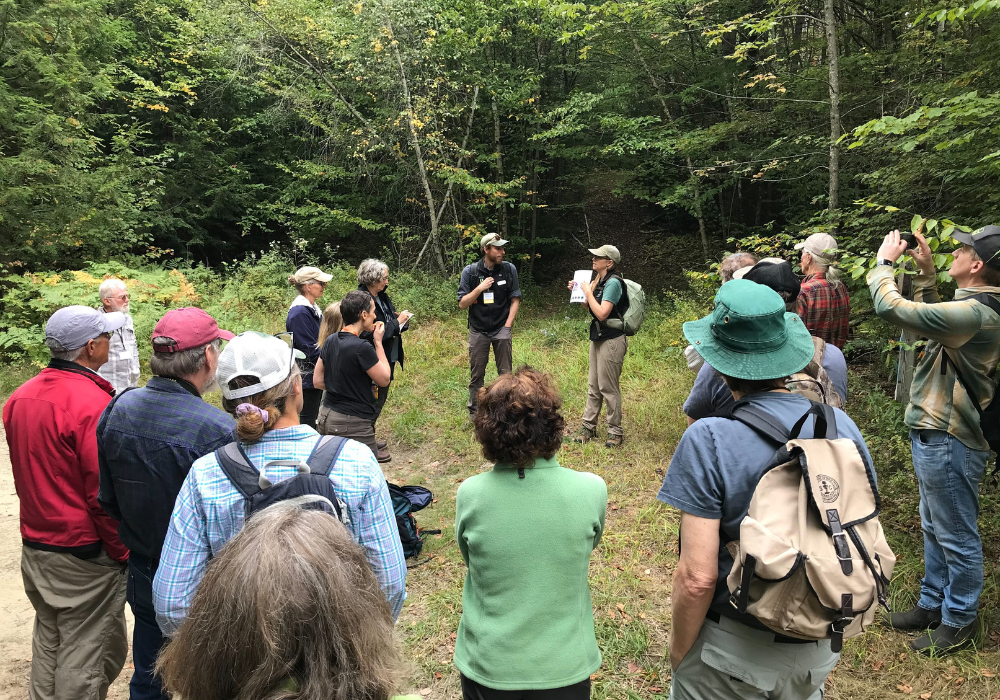 Wildlands: The Old-Growth Forests of Tomorrow