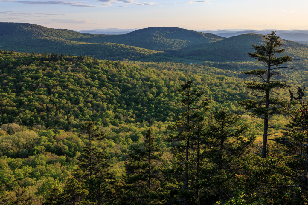 Opinion | The Gift of Freedom