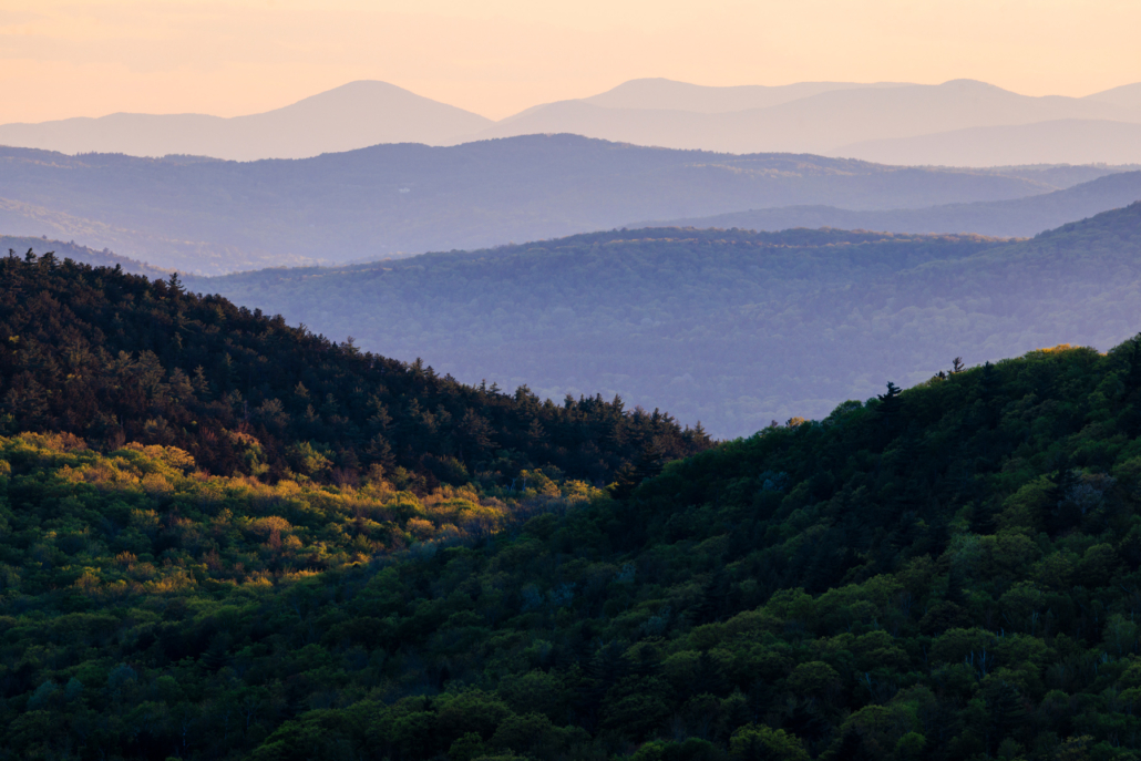 Spruce Ridge Wilderness Preserve in 'The Boston Globe'