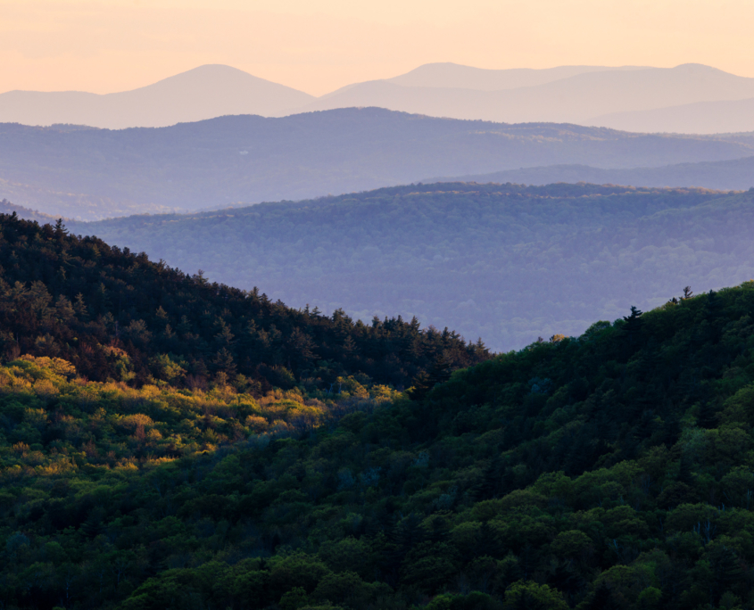 Spruce Ridge Wilderness Preserve in ‘The Boston Globe’